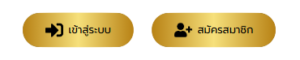 BOXRICH88